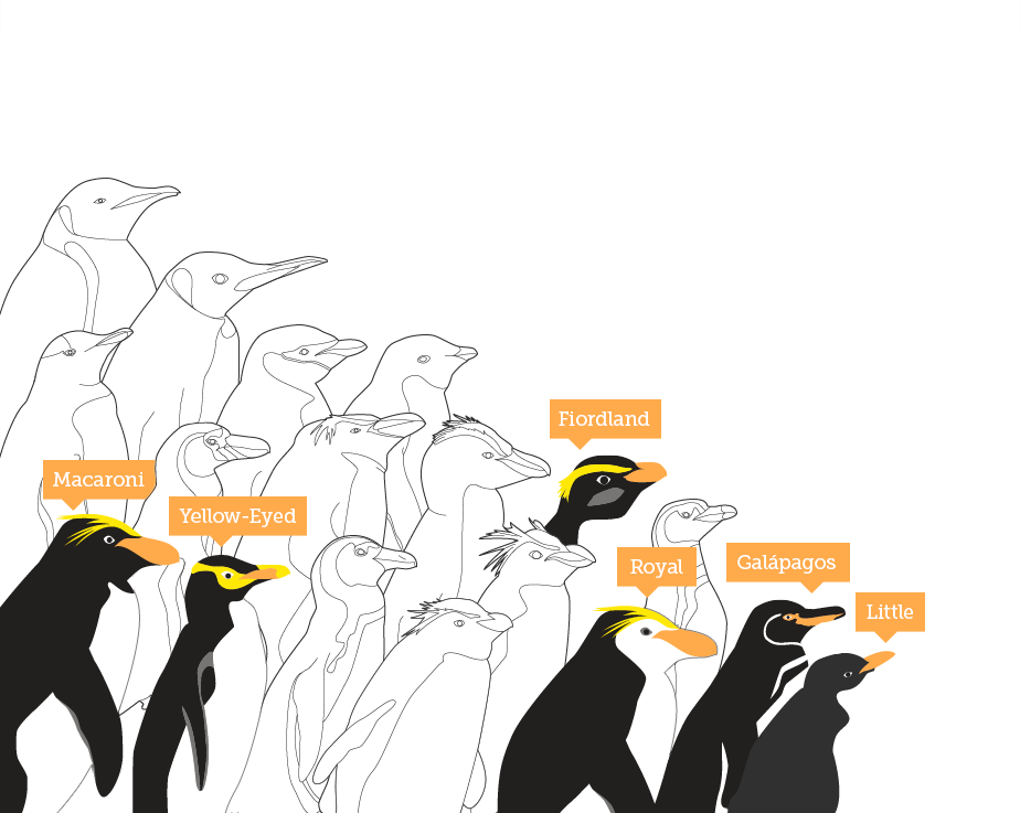 predators