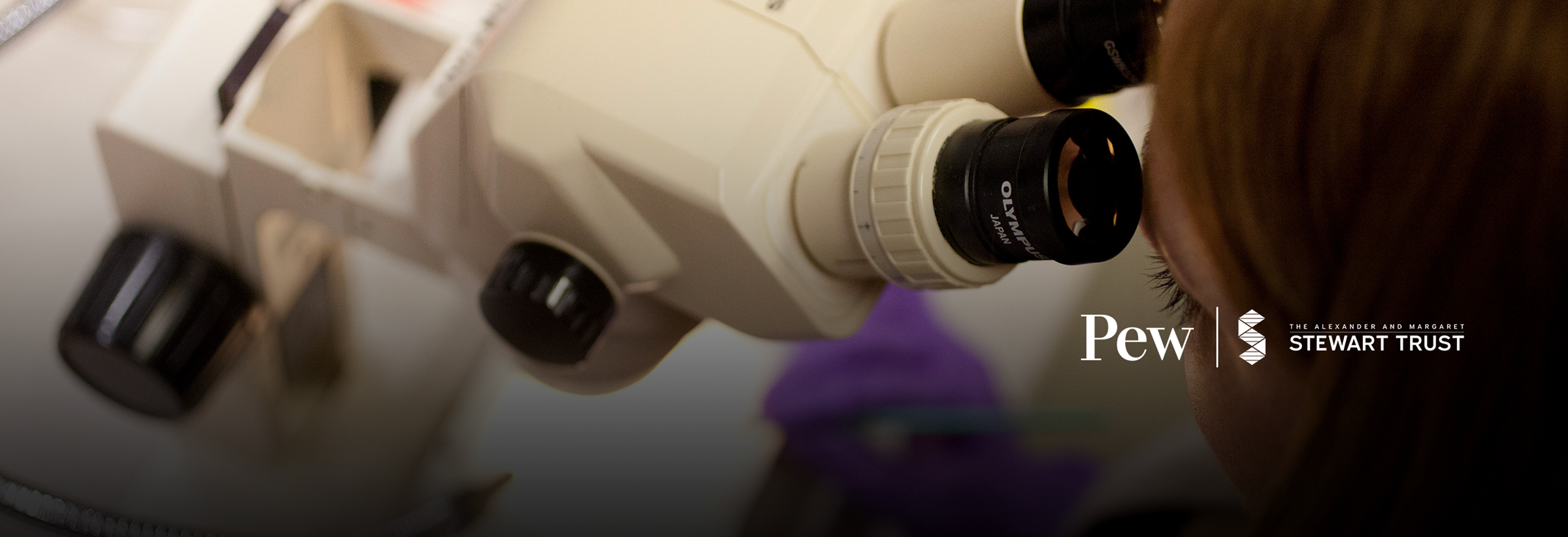 Pew-Stewart Scholars for Cancer Research | The Pew Charitable Trusts