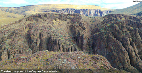 The deep canyons of the Owyhee Canyonlands.