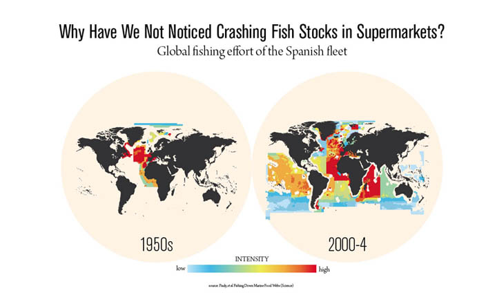 Why Have We Not Noticed Crashing Fish Stocks in Supermarkets? Why Have We Not Noticed Crashing Fish Stocks in Supermarkets?