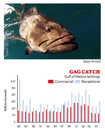 Gag Catch