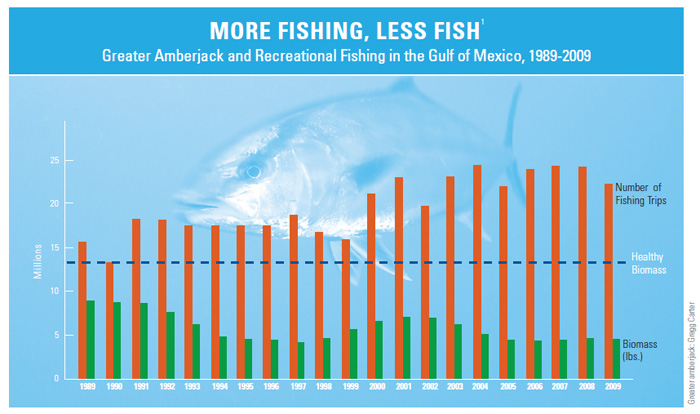 More Fishing, Less Fish