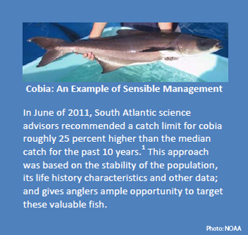 SBM-Cobia2-350