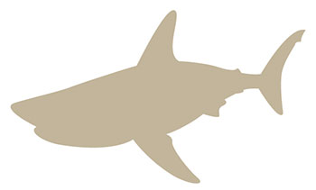 Requin-Taupe Requin-Taupe