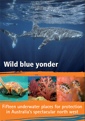 aus-wild-blue-yonder-300-lw