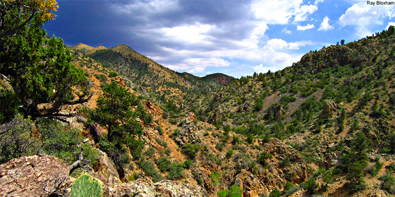 Photo Credit: Ray Bloxham Photo Credit: Ray Bloxham