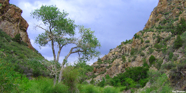 Photo Credit: Ray Bloxham Photo Credit: Ray Bloxham