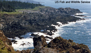 Maine Coastal Islands Wilderness Act (H.R. 1808)