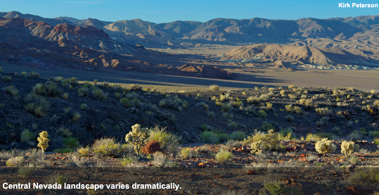 Central-Nevada-cropped Central-Nevada-cropped
