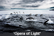 'Opera of Light' 'Opera of Light'