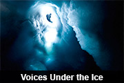 Voices under the ice Voices under the ice