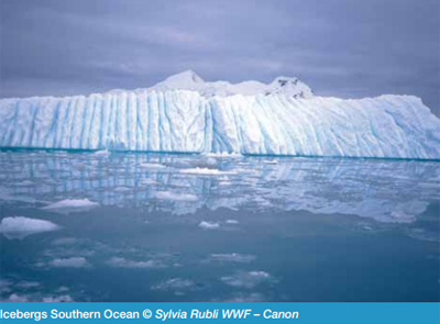 Southern Ocean Icebergs