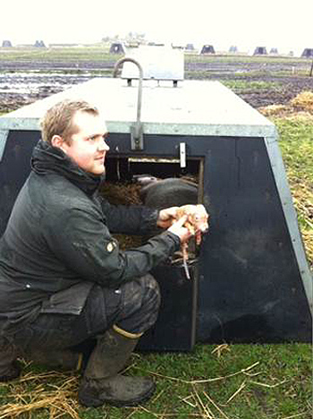 HHIF_denmark_piglet_350 HHIF_denmark_piglet_350