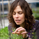 Learn more about Mary Gehring