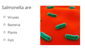Take the quiz!