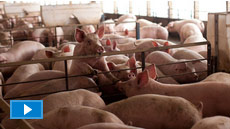 Committed to Farming, Committed to Health Committed to Farming, Committed to Health