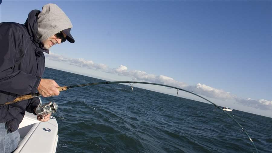 Lee Crockett reels in a striped bass off Montauk, Long Island.