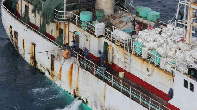Illegal Fishing