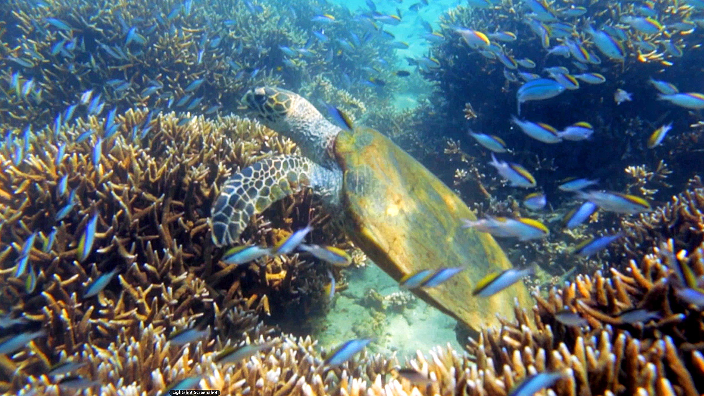 Sea Enom The Sea & Me | The Pew Charitable Trusts