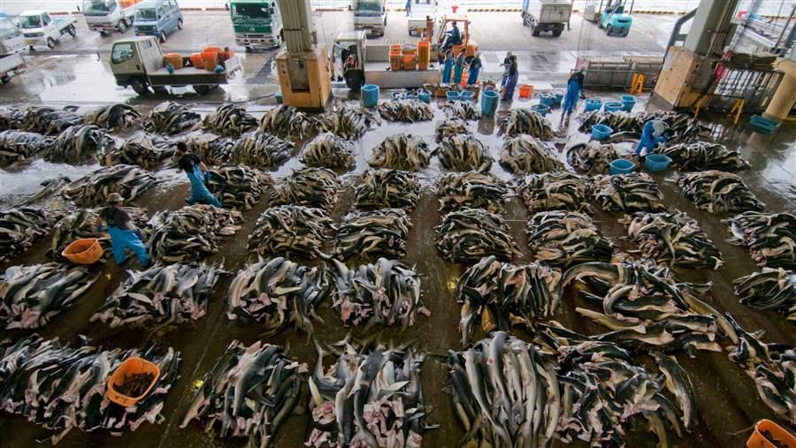 commercial fishing