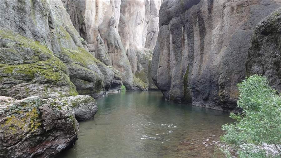 Owyhee_JFox_canyon