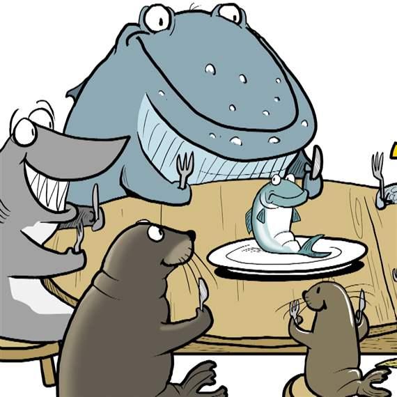 A Visual Glossary of Ocean Terminology | The Pew Charitable Trusts