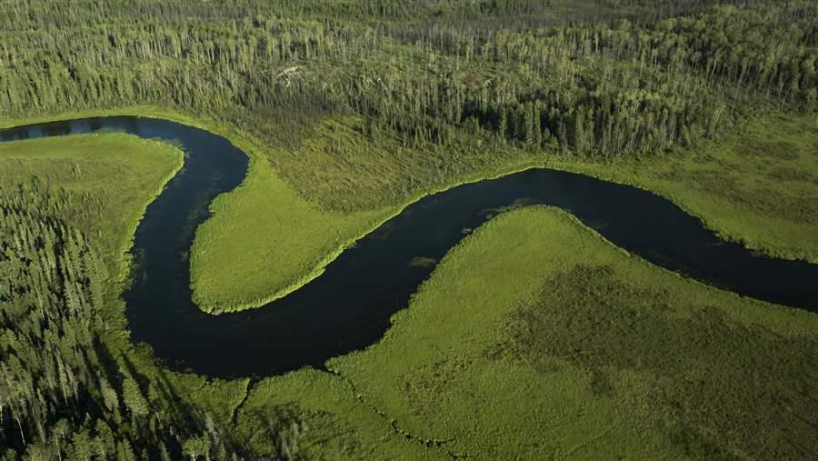 Boreal wetlands