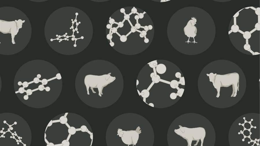 national residue program for meat, poultry, and egg products