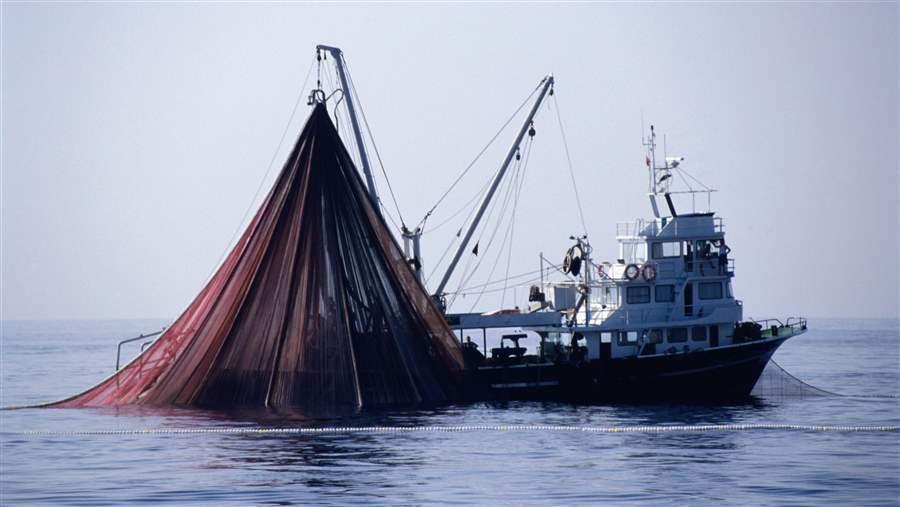 Tuna fishing