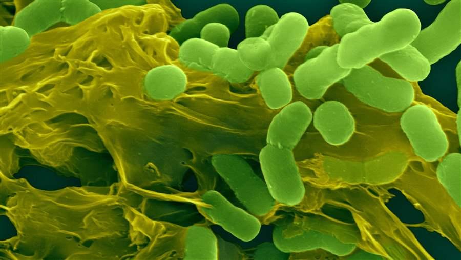 Fighting superbugs