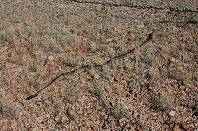 Boodjamulla National Park