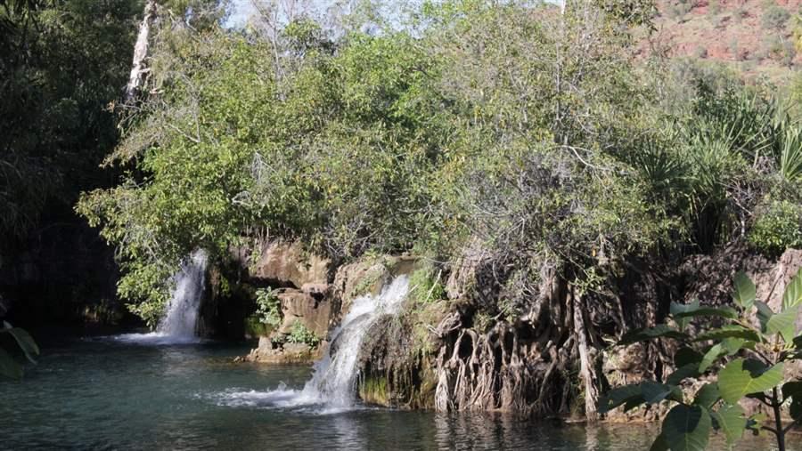 Boodjamulla National Park