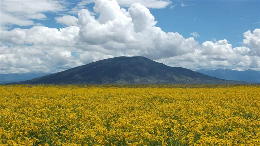 Ute Mountain