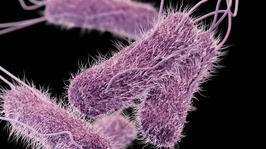 Antibiotic use