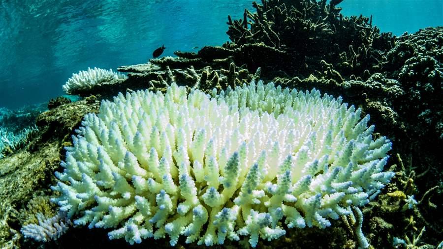 Climate changes impacts on oceans