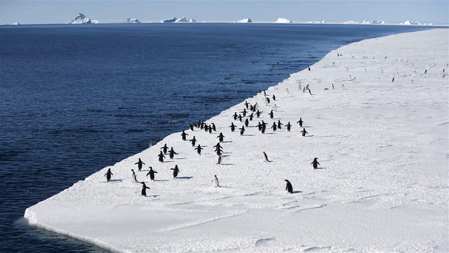 Marine protected areas in the Southern Ocean