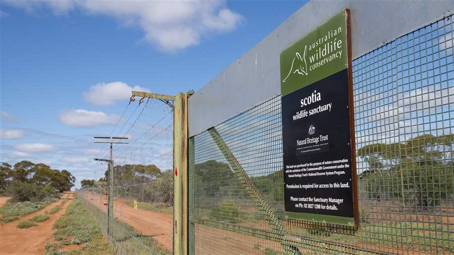 Endangered Outback 2