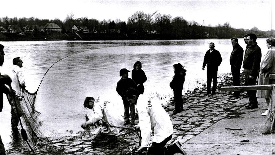 Shad fishing