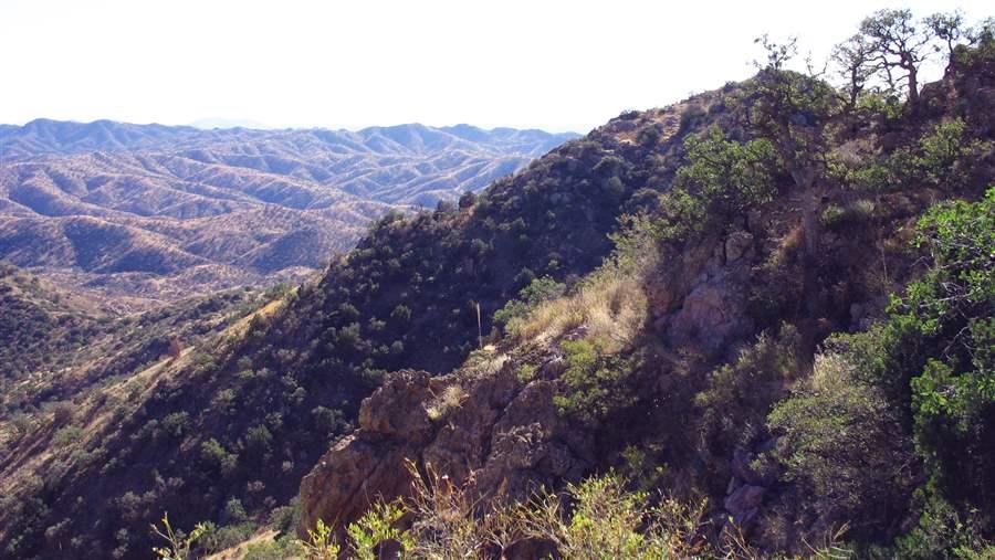 Arizona