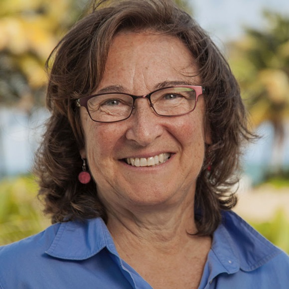 Alison Risch Alison Rieser, J.D. LL.M. | The Pew Charitable Trusts