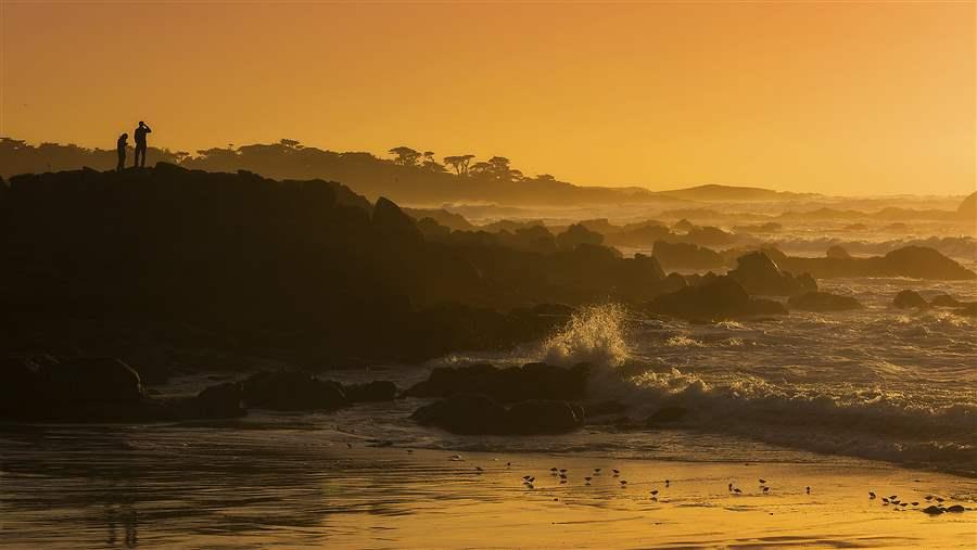 Conservation solutions 1