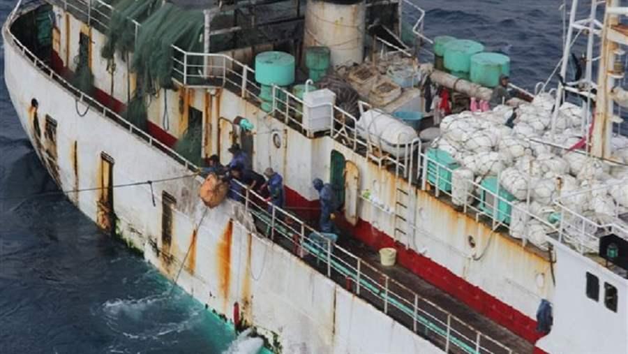 Conservation solutions 5