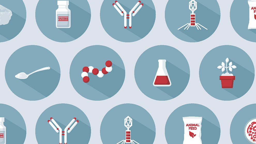 New Research Highlights Promising Alternatives to Antibiotics in Animal ...