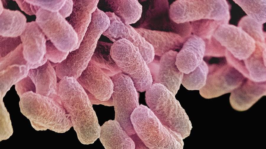 Antibiotic resistance