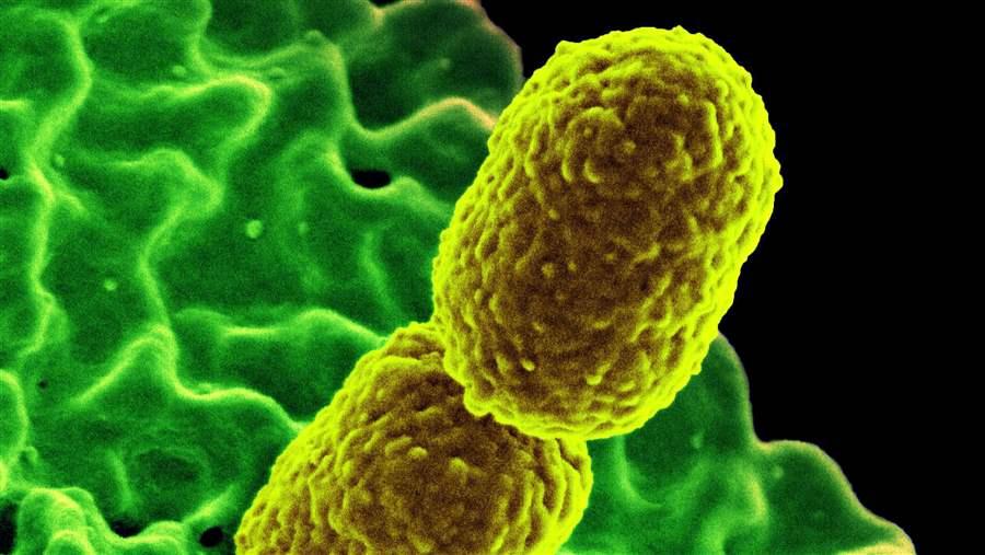 Shared Platform for Antibiotic Research and Knowledge