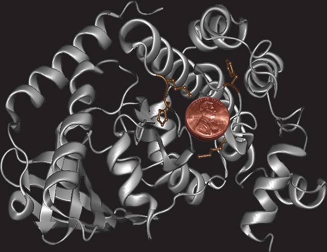 cancer therapies