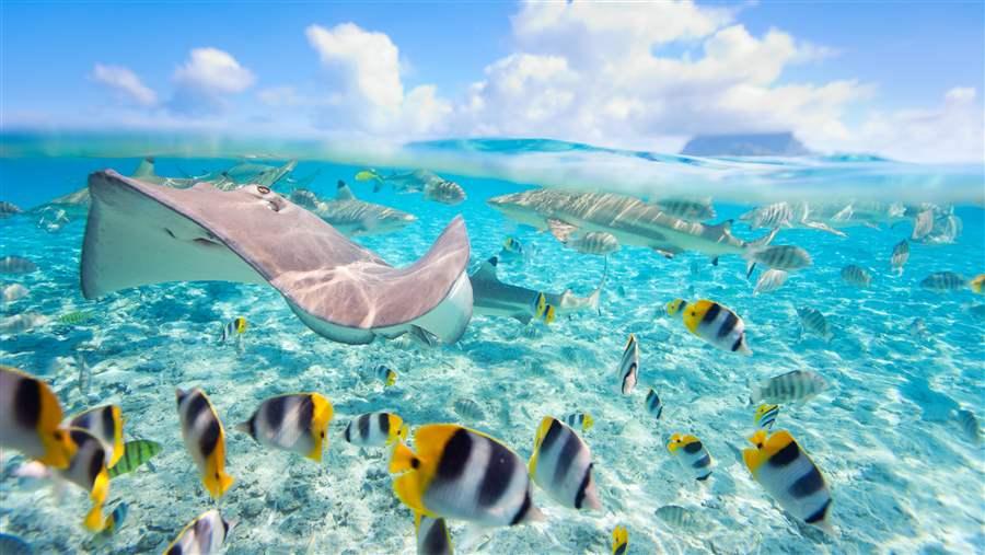 Austral Islands