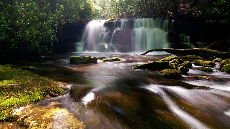 Cherokee National Forest