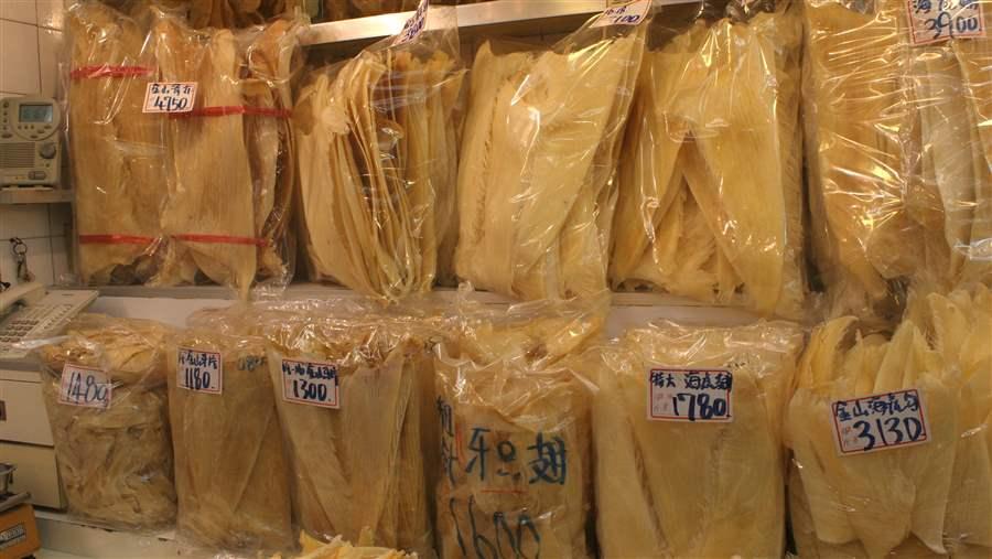 Global shark fin trade