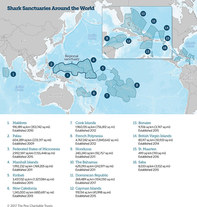 Sharks